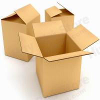 thau kinh thuc te ao google cardboard